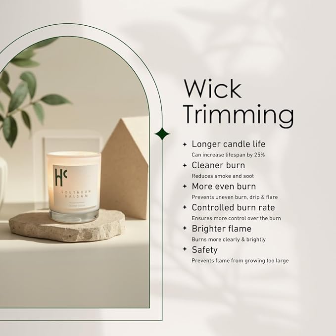 Southern Balsam Single Wick Soy Candles, Luxury Scented Candles for Home - Up to 60 Hour Burn Time, Cruelty-Free Soy Wax Blend - Cedarwood Fragrance, Notes of Eucalyptus & Amber (9 oz) - Bloomnest