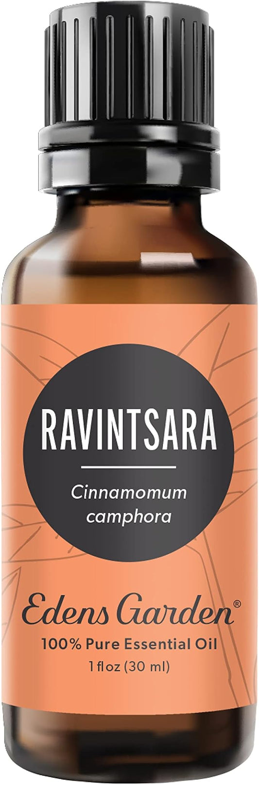 Edens Garden Ravintsara Essential Oil- 100% Pure Premium Grade, Undiluted, Natural, Therapeutic, Aromatherapy, The Best for Diffuser, Candle, Laundry, Humidifiers 30 ml (1 fl oz) - Bloomnest