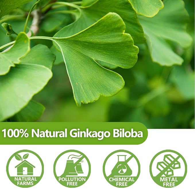 Premium 40 Ginkgo Biloba Tea Bags, Made with 100% Natural Ginkgo Biloba Leaves, No Additives & Caffeine Free. - Bloomnest