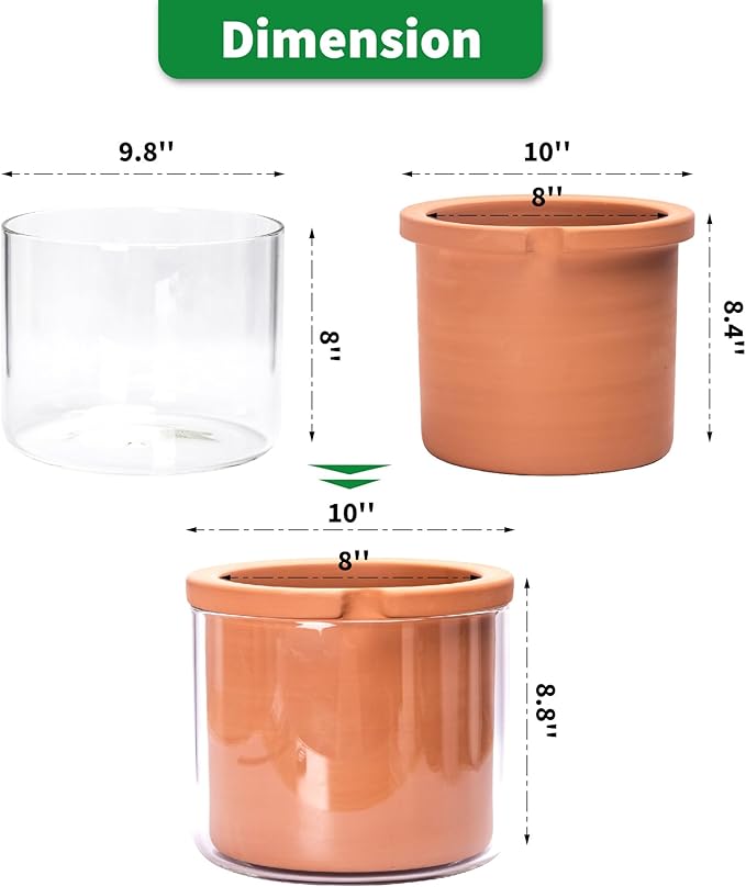 Phoenix Vine 8 Inch Self Watering Planter Pots, Design White Terracotta Pots for Plants, Indoor Cylinder Terra Cotta Pots with Glass Vase, Set of 1, 51-A-H-1 - Bloomnest