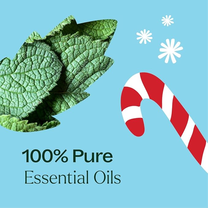 Plant Therapy Candy Cane Holiday Essential Oil Blend 10 mL (1/3 oz) Familiar, Sweet, Minty Aroma, Evokes The Scent of The Traditional Candy Cane, Use Topically, Uplifting and Invigorating Feeling - Bloomnest