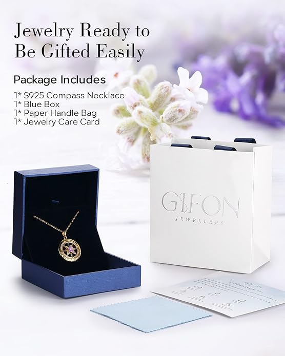 S925 Necklace Gift for Wife |Compass Jewelry |Women Anniversary |Sterling Silver |Girlfriend Birthday Gifts for Her Valentines |I'd be Lost without You |Jewel 18K Gold - Bloomnest