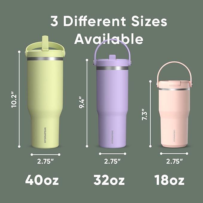 Hydrapeak Nomad 32 oz Tumbler with Handle and Straw Lid, Leakproof, Double Insulated, 32oz Cup, Stainless Steel | Sage Leaf - Bloomnest