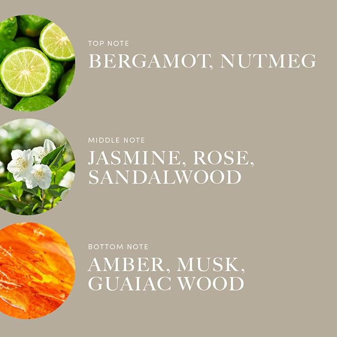 Aroma360 | Disney Reflection Fragrance Oil Blend | Disney Princess Mulan | Luxury Essential Diffuser Oil | Aromatherapy Scent Diffuser Oil | Bergamot, Nutmeg and Jasmine 1.7 fl oz 50mL - Bloomnest