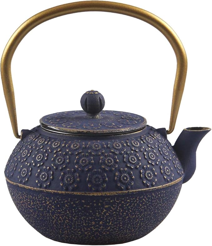 Teapot Cast Iron Tea Kettle for Stovetop Safe Coated with Enameled Interior,Japanese Cast Iron Teapot with Stainless Steel Infuser for Loose Tea(33.8oz) - Bloomnest