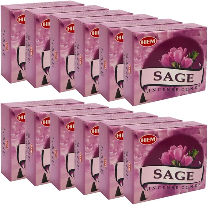 Sage Incense Cones And Cone Incense Burner Bundle Insence Insense Hem Incense TRUMIRI