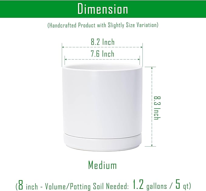 D'vine Dev Set of 2 Plants Pots, 8.2 Inch Ceramic Planter Pot for Plants with Drainage Hole and Saucer, White, 94-V-D-1 - Bloomnest