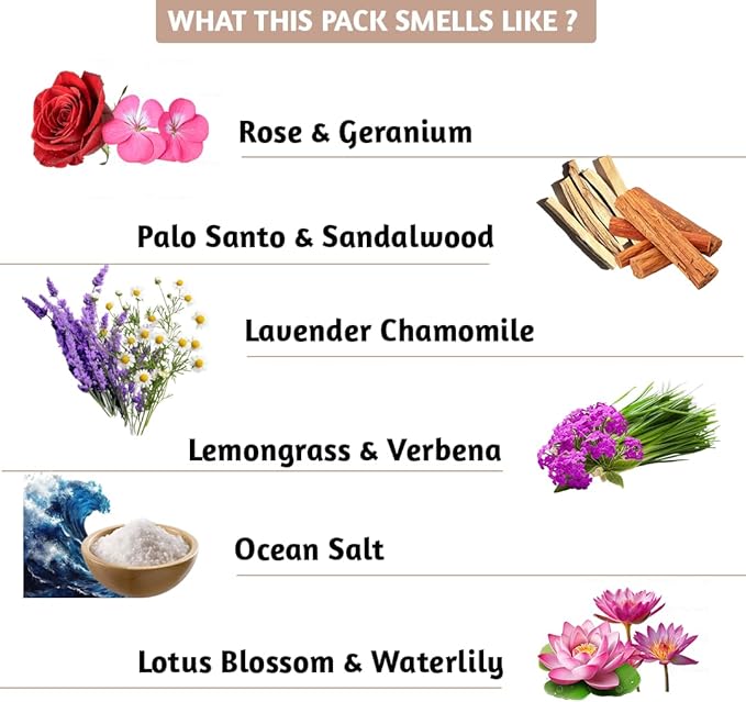 Folkulture Incense Sticks (240Sticks) | Pack of 12 Premium Incense for Yoga, Meditation, Aromatherapy | No Charcoal, Organic, Non Toxic, 45 Mins, Long Burning Palo Santo, Sandalwood, Insence-Sticks FOLKULTURE