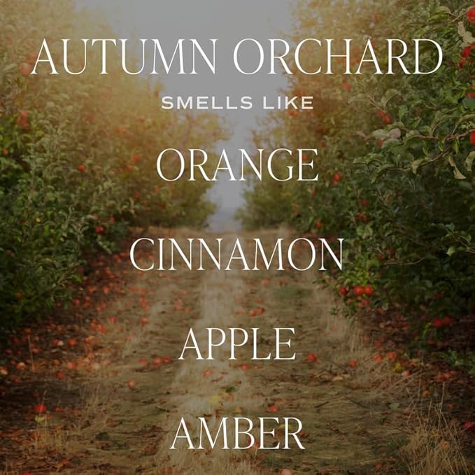 Sweet Water Decor Autumn Orchard Candle, Autumn Scented Notes of Citrus, Cinnamon, & Apples, 40+ Hour Burn Time, Non-Toxic Soy Wax Blend, Poured in The USA, Cotton Wick, 9oz Glass Jar with Gold Lid - Bloomnest
