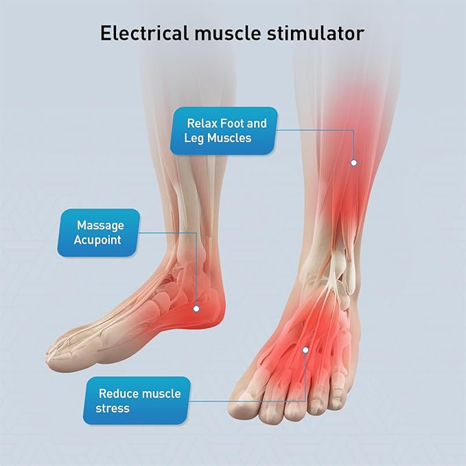 Phixnozar TENS & PMS,Transcutaneous Electronic Nerve Stimulator, EMS Foot Massage for Muscle Relaxation, LCD Display Screen - Bloomnest