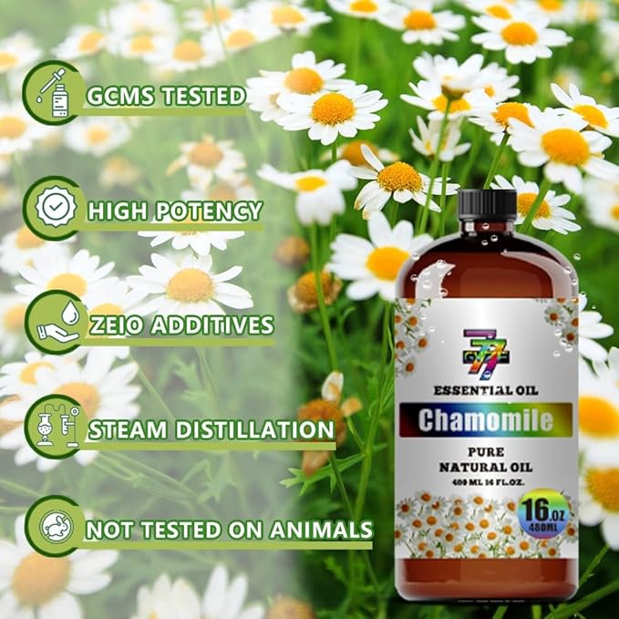 Chamomile Essential Oil (16 oz / 480 ml) – Chamomile Oils for diffusers, humidifiers, Home Baths, Cleaning Products, Yoga, DIY Soaps and DIY Scented Candles - Bloomnest
