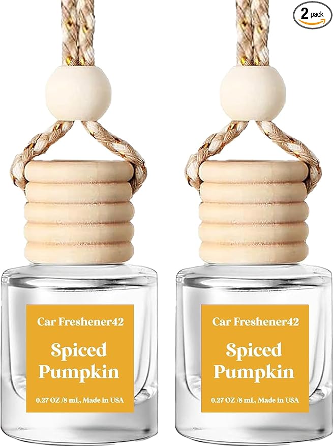 HoogaLife Car Air Freshener Diffuser 2 Pack Hanging Spiced Pumpkin Car Air Freshener for Women 45+ Days Long Lasting Fragrance Made in USA (P42) - Bloomnest