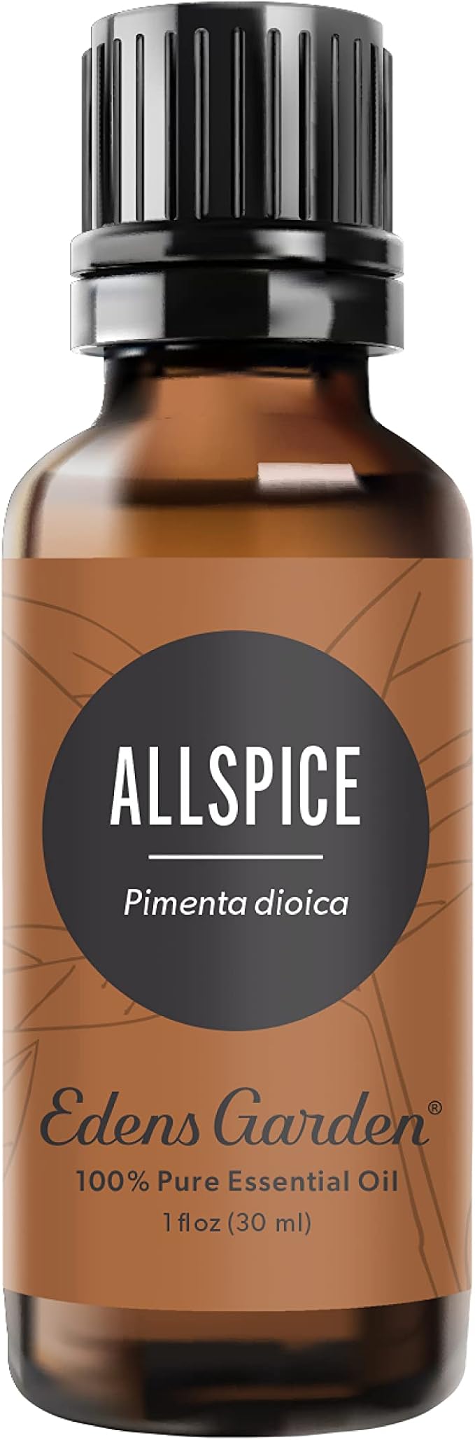 Edens Garden Allspice Essential Oil, 100% Pure Therapeutic Grade (Undiluted Natural/Homeopathic Aromatherapy Scented Essential Oil Singles) EdensGarden
