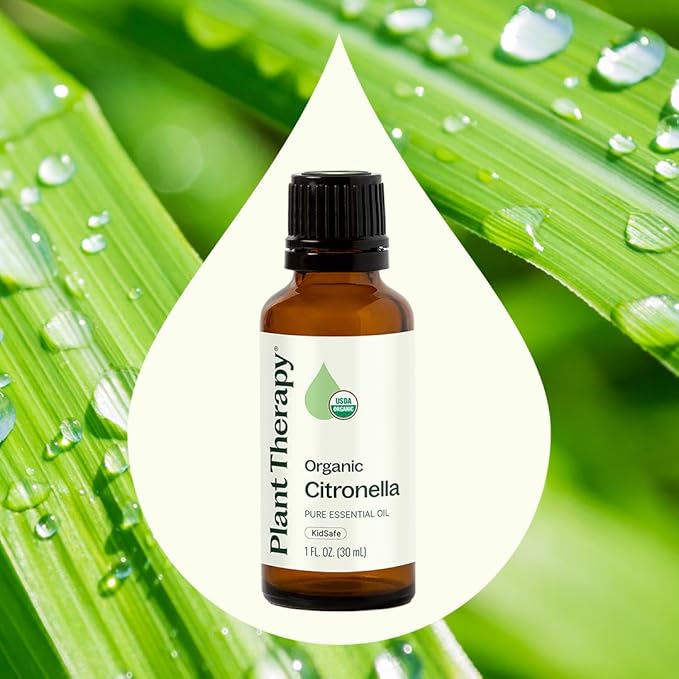 Plant Therapy Citronella Organic Essential Oil 100% Pure, USDA Certified Organic, Undiluted, Natural Aromatherapy, Therapeutic Grade 30 mL (1 oz) - Bloomnest