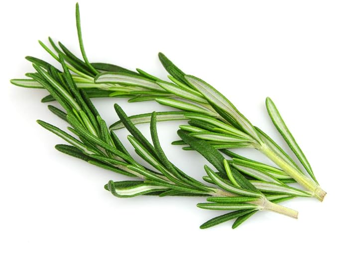 US Organic 100% Pure Rosemary Essential Oil, USDA Certified Organic 100% Pure, Steam Distilled, for Hair Growth, Scalp, Face, Skin, and Aromatherapy (Size Variations Available) (10 ml) - Bloomnest