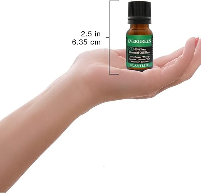 Plantlife Evergreen Aromatherapy Essential Oil Blend - Straight from The Plant 100% Pure Therapeutic Grade - No Additives or Fillers - Made in California 10 ml - Bloomnest