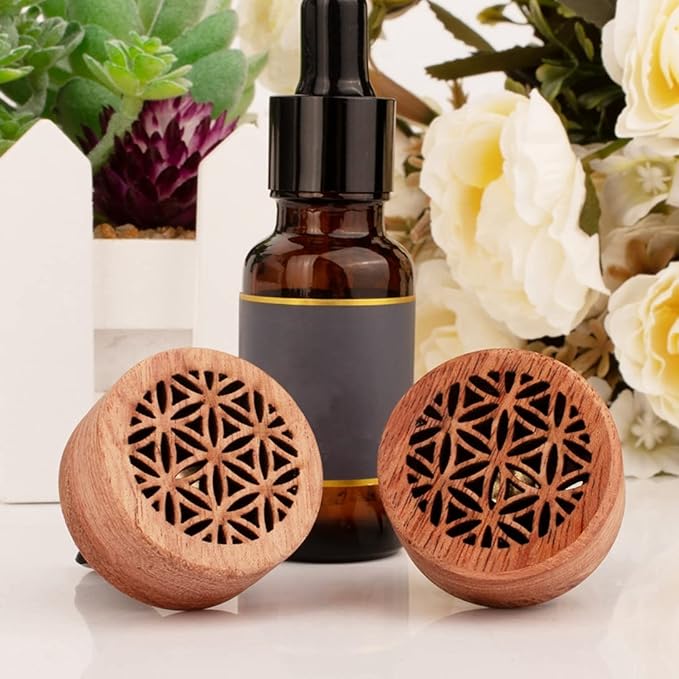 Essential Oil Car Diffuser, 2 PCS Car Aromatherapy Wood Diffuser with Vent Clip - Bloomnest