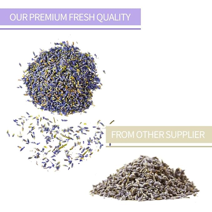 TIAN HU SHAN Dried Lavender Flower Buds, Culinary Food Grade for Baking, Fresh Fragrance, 4 Ounce, Caffeine Free Suger Free Vegan Herbal Tea, Packing in Bulks - Bloomnest
