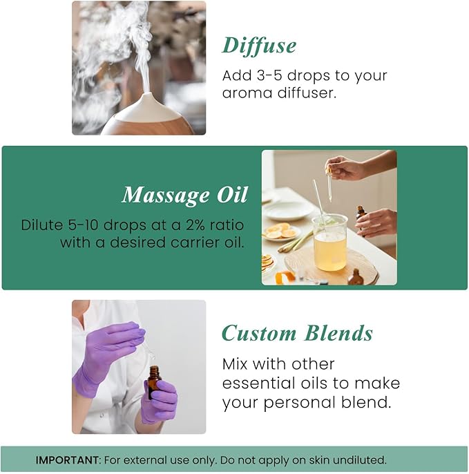 Handcraft Blends Eucalyptus Essential Oil – Huge 4 Fl Oz – 100% Pure and Natural – Premium Grade Essential Oil for Diffuser and Aromatherapy, Skin, Massage, Candle and Soap Making Fragrance - Bloomnest