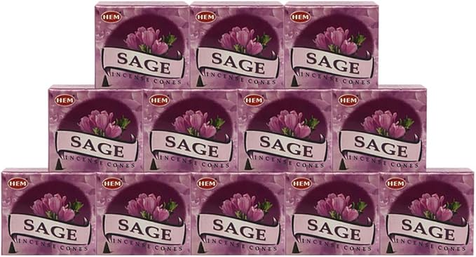 Sage Incense Cones And Cone Incense Burner Bundle Insence Insense Hem Incense TRUMIRI