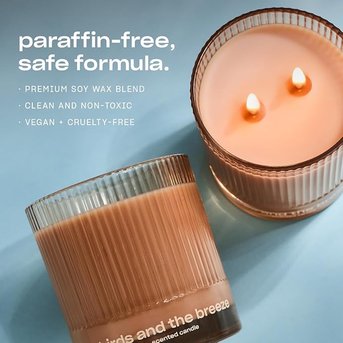Birds and The Breeze Luxury Scented Candle by Snif, Light and Airy Scent, 50+ Hours, 100% Cotton Fiber Wicks, Soy Wax Blend, Non-Toxic, Vegan, 8.5 oz… - Bloomnest