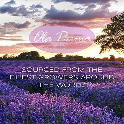 Ola Prima Oils 8oz - Frankincense Essential Oil - 8 Fluid Ounces - Frankincense Oil Therapeutic Grade - Bloomnest