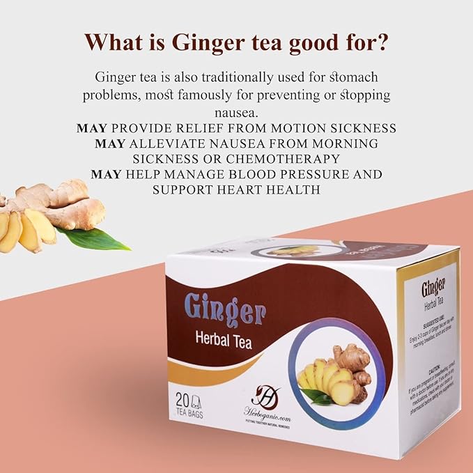 Herboganic Herbal Ginger Tea Bags, Natural Remedy Ginger Tea, Supports Good Digestion, Soothes Throat & Relieves Motion Sickness (Pack of 20) - Bloomnest