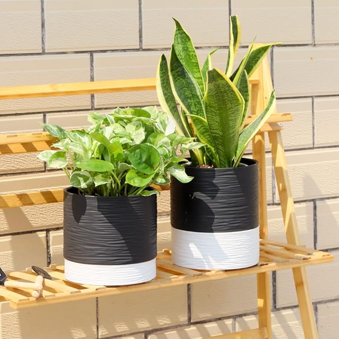 Nihow Ceramic Plant Pot: 6 Inch Planter with Drainage Hole & Saucer for Indoor & Outdoor Plants - Cylinder Round Flower Pot for Succulent/Herbs/Violets - Black & White - Bloomnest