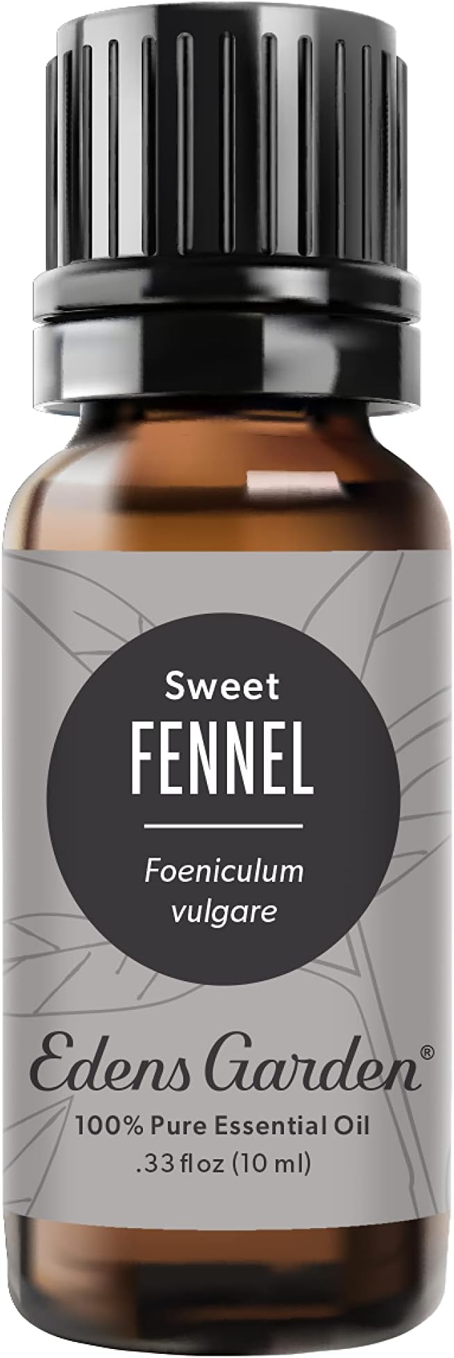 Edens Garden Fennel- Sweet Essential Oil, 100% Pure Therapeutic Grade (Undiluted Natural/Homeopathic Aromatherapy Scented Essential Oil Singles) 10 ml EdensGarden