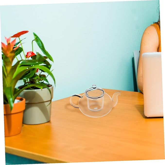 Transparent Glass Teapot Small Heat-resistant Borosilicate Tea Kettle with Lid Fine Mesh Strainer for Loose Leaf Tea Household Teapot for Green Enjoyment - Bloomnest