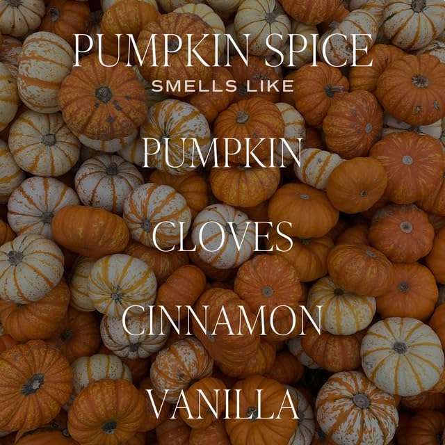 Sweet Water Decor Pumpkin Spice Candle, Autumn Scented Notes of Pumpkin, Cloves, & Buttercream, 40+ Hour Burn Time, Non-Toxic Soy Wax Blend, Poured in the USA, Cotton Wick, 9oz Glass Jar with Gold Lid - Bloomnest