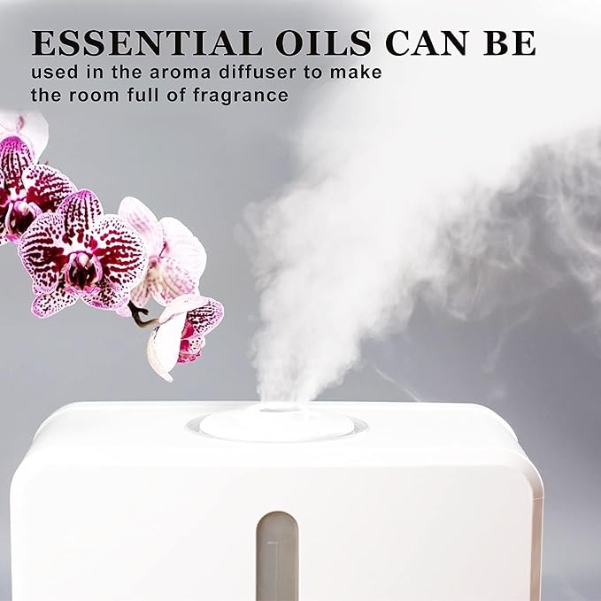 Basil Essential Oil, Basil Oil for Diffuser Humidifier Yoga Cleaning DIY Candle Soap Making Essential Oils 2 Pack x10ml - Bloomnest