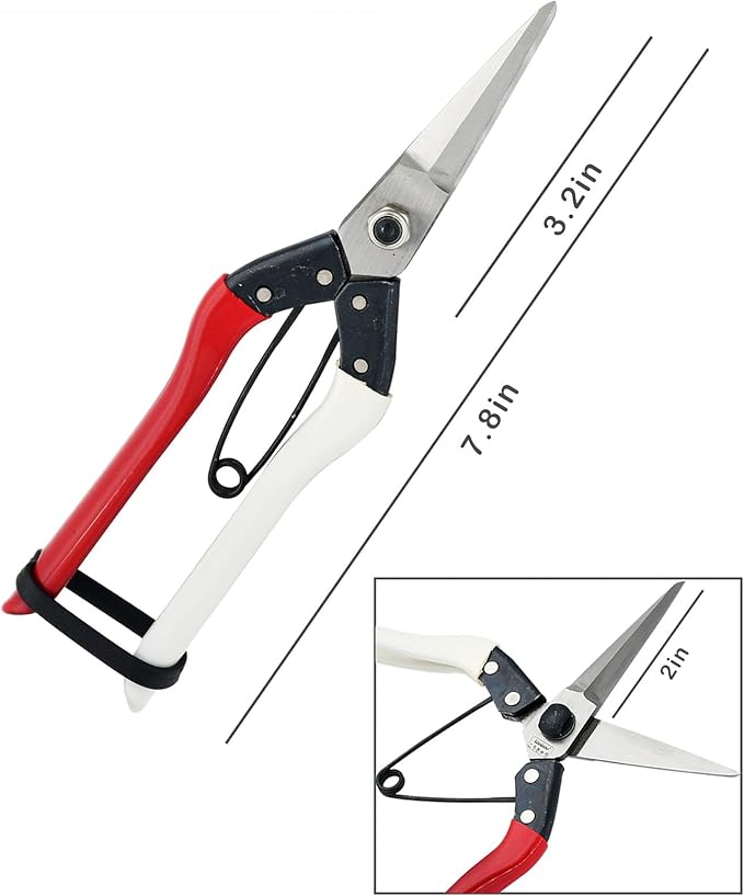 Double-Edge Garden Shears Micro-Tip Pruning Shears Extra Heavy Straight Garden Scissors Effortless Cuts Pruning Shears for Gardening Clippers for Plant Herb Flower Harvesting Fruits vegetables - Bloomnest