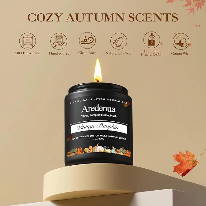 Vintage Pumpkin Candle – Holiday Soy Candles for Thanksgiving & Christmas | 7oz Pumpkin Scented Candle | Cozy Winter Candles Gift for Home Décor, Fall & Holiday Aromatherapy Gifts for Women Men - Bloomnest