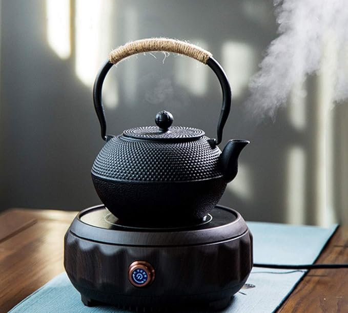 HwaGui Cast Iron Teapot Large Japanese Tetsubin Kettle with Stainless Steel Infuser for Loose Leaf Tea Teapot Coated with Enameled Interior 1200ml/40oz - Bloomnest