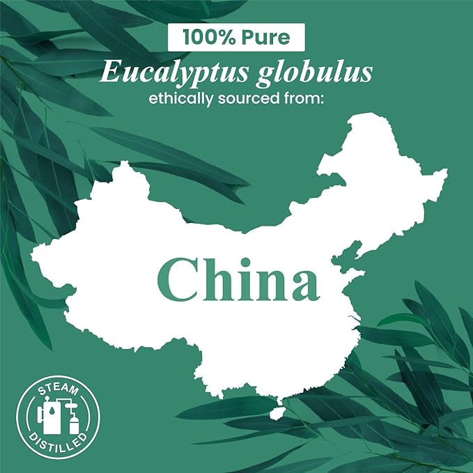 Handcraft Blends Eucalyptus Essential Oil – Huge 4 Fl Oz – 100% Pure and Natural – Premium Grade Essential Oil for Diffuser and Aromatherapy, Skin, Massage, Candle and Soap Making Fragrance - Bloomnest