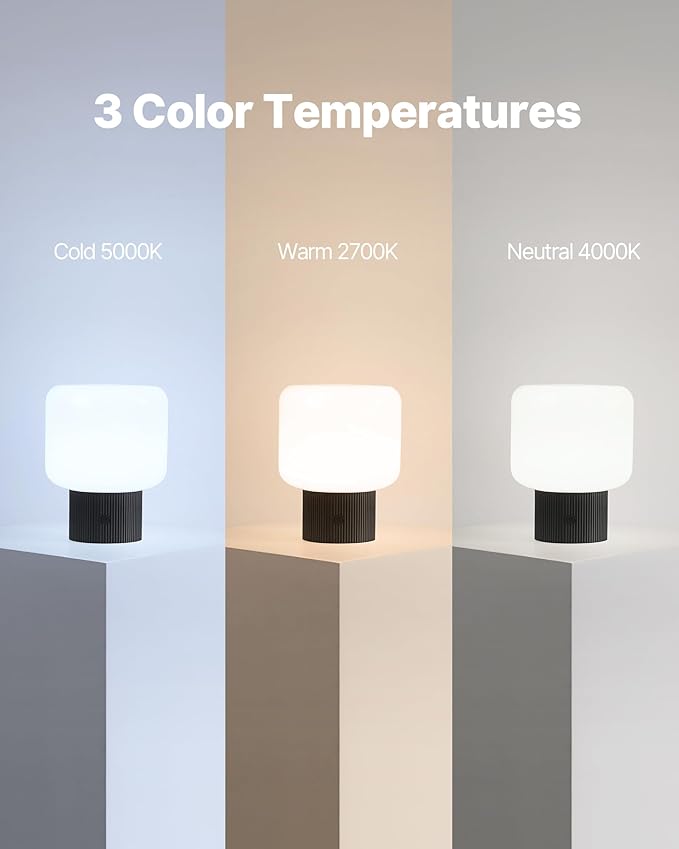 Halo Mushroom Lamp, 5W Cute Cordless Rechargeable Table Lamp with Glass Shade, 3 Color Temps LED Dimmable Ambient Lighting, Small Retro Touch Bedside Light for Bedroom Decor, Black - Bloomnest