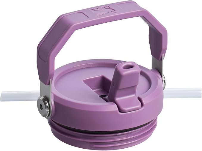 Stanley IceFlow Flip Straw Tumbler with Handle 20 oz | Twist On Lid and Flip Up Straw | Leak Resistant Water Bottle | Insulated Stainless Steel |BPA-Free | Lilac - Bloomnest