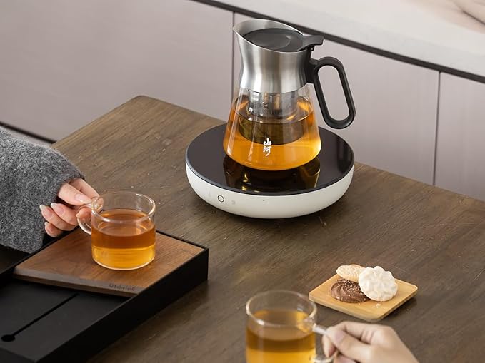 ZENS Design Glass Teapot with Infuser, 23 oz Small Loose Leaf Tea Steeper Pot with Stainless Steel Spout for Hot Tea Steeper, Oval Handle Clear Tea Pot with infusers for Loose Tea Lovers Gifts - Bloomnest
