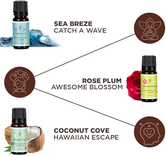 Folkulture Essential Oils for Home | Set of 6 (0.34 fl oz x 6) Essential Oils for Relaxation | Coconut, Strawberry, Rosemary Essential Oil for Meditation | Lemon Essential Oil for Women - Bloomnest