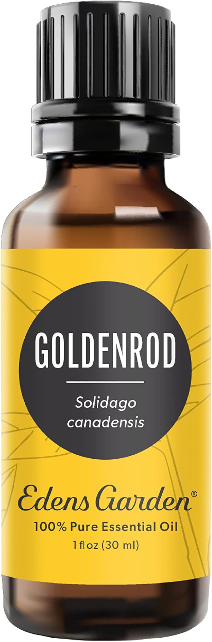 Edens Garden Goldenrod Essential Oil- 100% Pure Premium Grade, Undiluted, Natural, Therapeutic, Aromatherapy, The Best for Diffuser, Skin, Face, Humidifiers 30 ml (1 fl oz) - Bloomnest