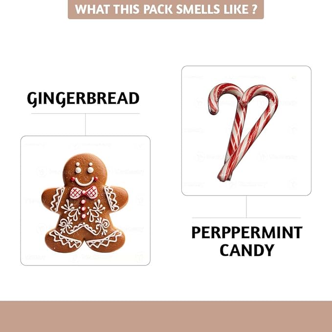 Folkulture Incense Cones for Waterfall | 20 Pc Incense Cone Scented | 2 Fragrance Cone-Insenses - Peppermint Candy & Gingerbread | Natural, Non Toxic | Christmas Inscents-Cones | Relaxing, Meditation