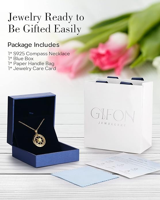 S925 Necklace Gift for Wife |Compass Jewelry |Women Anniversary |Sterling Silver |Girlfriend Birthday Gifts for Her Valentines |I'd be Lost without You |Jewel 18K Gold - Bloomnest