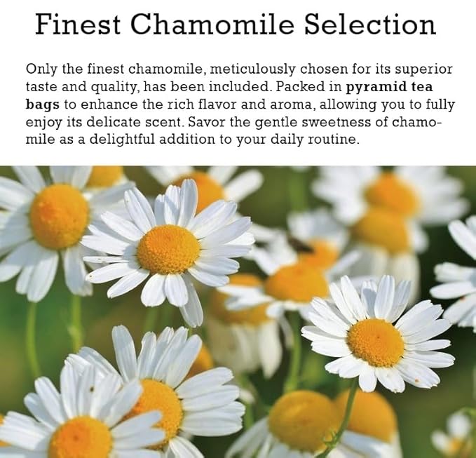 Damtuh Chamomile Tea – 100% Pure Chamomile, Caffeine-Free Herbal Tea, 10 Tea Bags (1g each) - Bloomnest