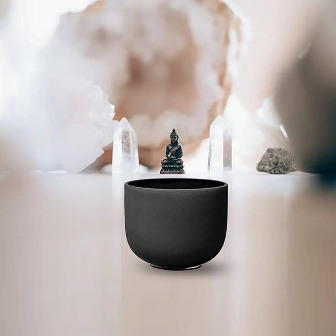 RYAN DVAN 11 Inch D Note Black Frosted Sacral Chakra Crystal Singing Bowl with Free Heavy-Duty Carrying Case and Suede Striker O-Ring - Bloomnest