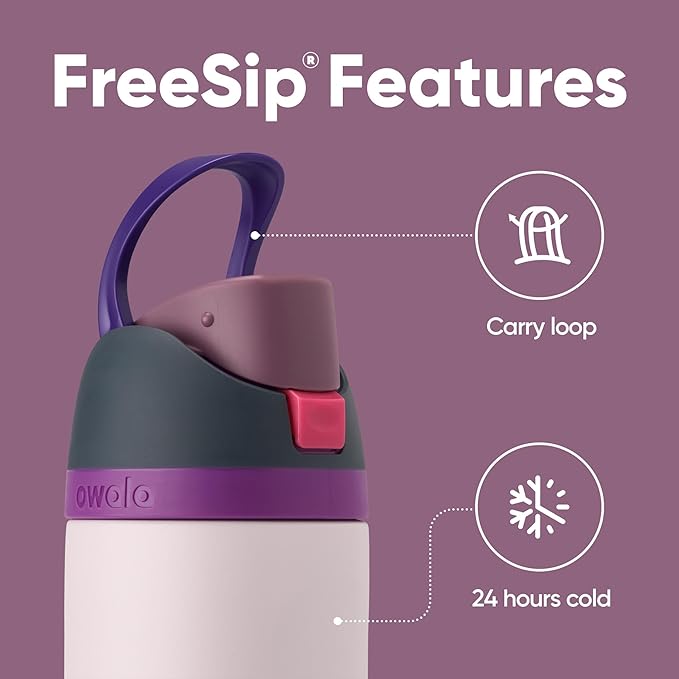 Owala FreeSip Insulated Stainless Steel Water Bottle with Straw for Sports, Travel, and School BPA-Free Sports Water Bottle, 24 oz, Dreamy Field Owala