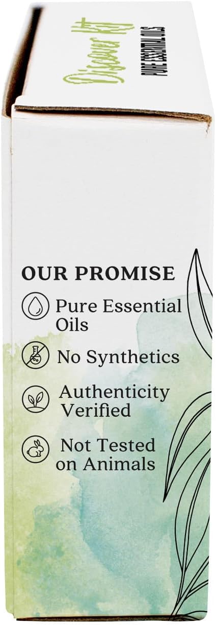 Aura Cacia Discover Essential Oils Kit, 4-Pack, Lavender, Eucalyptus, Peppermint & Tea Tree Oils, Excellent Starter Set - Bloomnest