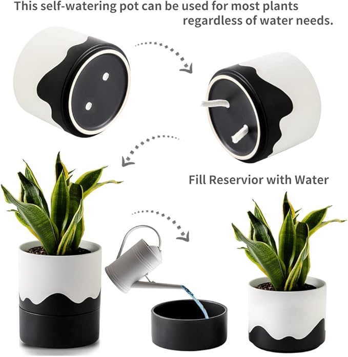 Nihow Self Watering Plant Pot: 6 Inch Ceramic Planter with Drainage Hole & Water Storage Plus for Indoor & Outdoor Plants - Cylinder Round Flower Pot for Succulent/Herbs/Violets - White & Wave Black - Bloomnest