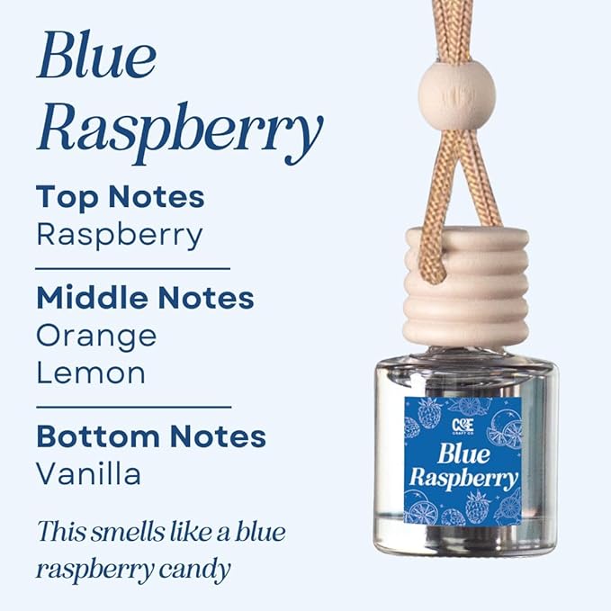 CANDECraftCo Car Air Hanging Fragrance Oil, Car Auto Freshener for Essential Oils, Scents Fragrance Aromatherapy Automobile Diffuser, Long Lasting (Blue Raspberry) - Bloomnest