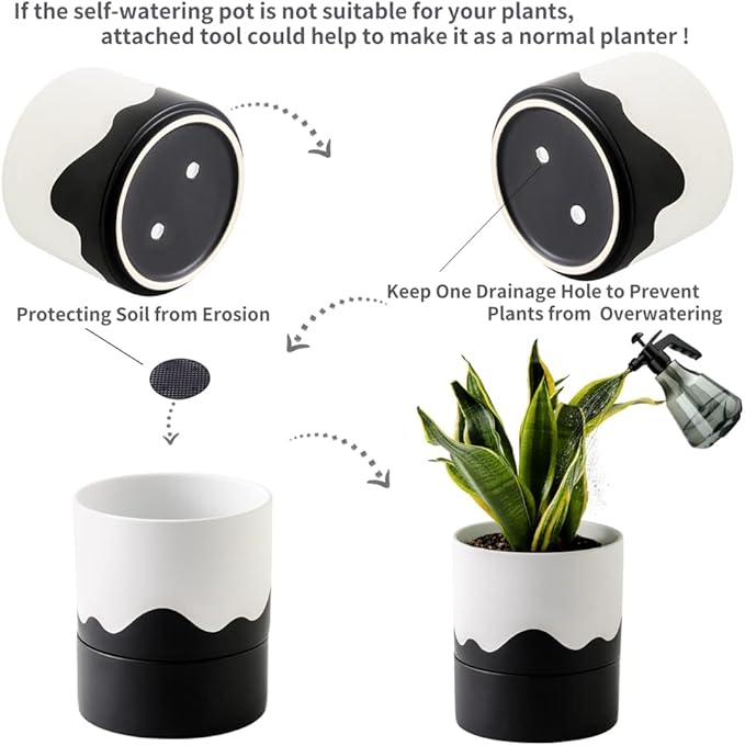 Nihow Self Watering Plant Pot: 6 Inch Ceramic Planter with Drainage Hole & Water Storage Plus for Indoor & Outdoor Plants - Cylinder Round Flower Pot for Succulent/Herbs/Violets - White & Wave Black - Bloomnest
